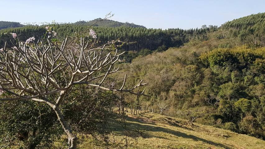Sitio Alvorada - Paraiso Localizado No Circuito Das Aguas Paulista Amparo  Bagian luar foto